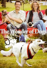 The Wonder of Dogs (狗狗的奇妙世界 第一季)