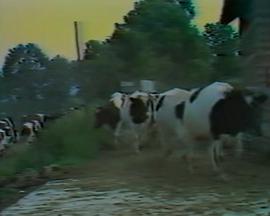 六乘二/传播面面观