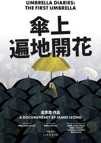 傘上：遍地開花