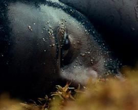 Nosferasta: First Bite