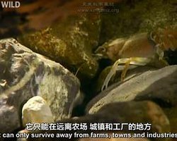 国家地理：巴伐利亚奇幻国度