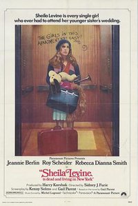 希拉·莱文的纽约生活