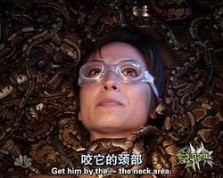 恐惧元素（新版）