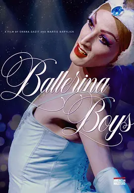 PBS美国大师系列 (美国大师 第三十五季 第三十五季)