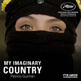 我想象中的国家