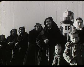 The sea and the days