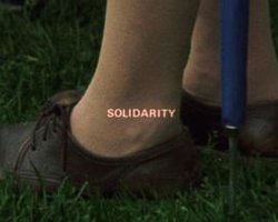 Solidarity