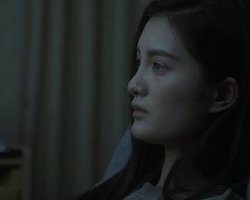 爱的工厂：在中国成为社交媒体明星