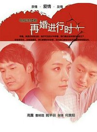 再婚进行时