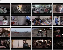 镜头放大：海狸图书女孩