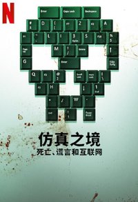 仿真之境：死亡、谎言和互联网