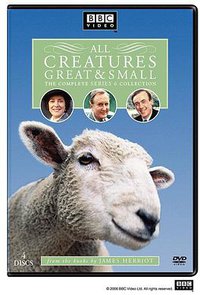 万物生灵 第六季