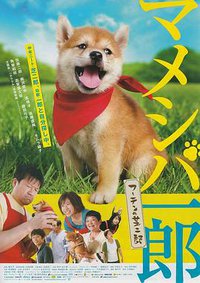 电影 豆柴一郎 流浪的芝二郎篇