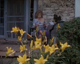 卡萝丽、芭芭拉和冈沃尔