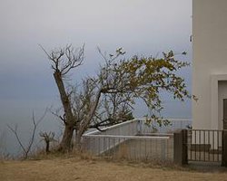 昨日与明天之间