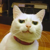 Avatar for 我们不是机器