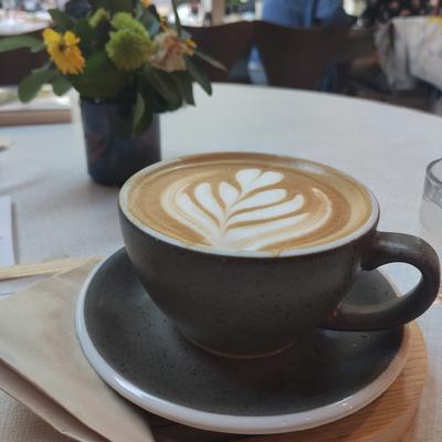 Avatar for 南风热🏳️‍🌈