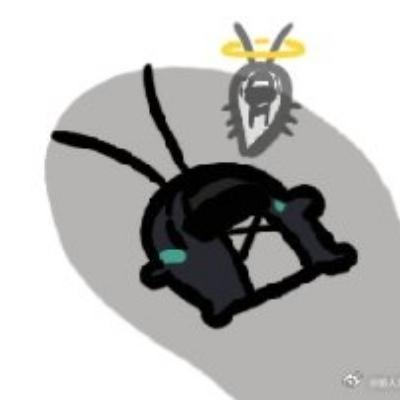 Avatar for 社会主义迷因虫 :akko_fingerguns: