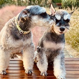 Avatar for 宝宝爱扒饭