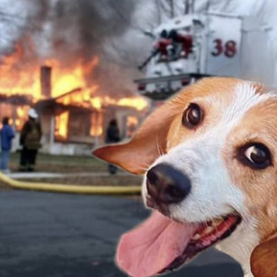 Avatar for 核动力驴（三千越甲综合征版）