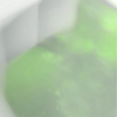 Avatar for 太晶化粽纹腹小鸮