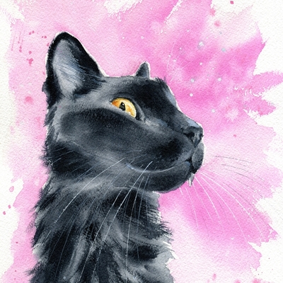 Avatar for CCR Feline Research Center