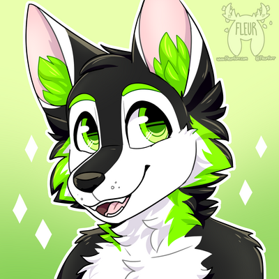 Avatar for tarper24