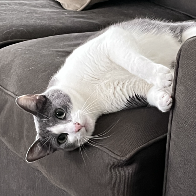 Avatar for Frederick