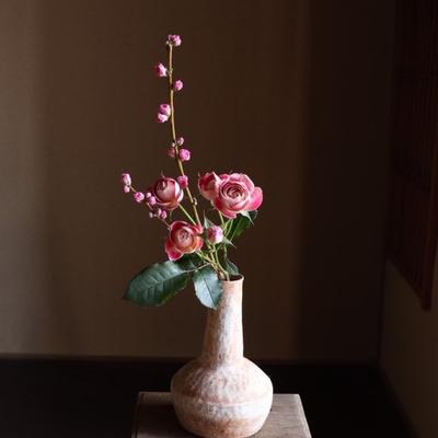 Avatar for 🏳️‍🌈😎😂