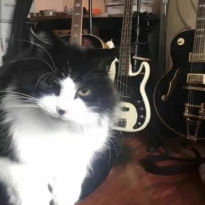 Avatar for 华丽乌鸦摇滚电台