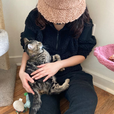 Avatar for MeowMeowDong