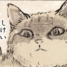 Avatar for 涟漪的夜晚