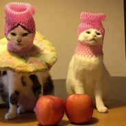 Avatar for 曹氏辣卤放冬瓜之必要