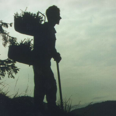 Avatar for Marcus Rohrmoser 🌻