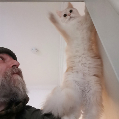 Avatar for Douglas Taylor