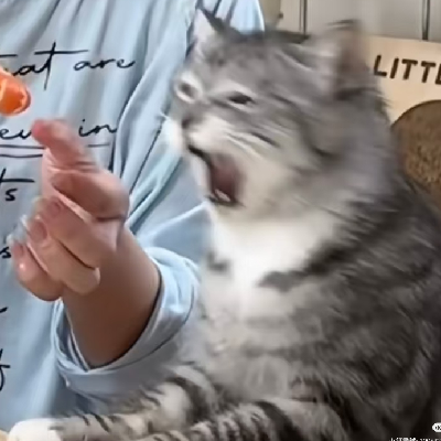 Avatar for 8964放我去非洲追羚羊