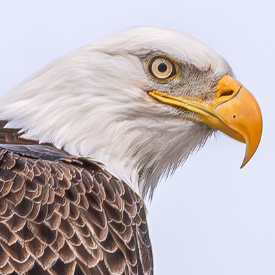 Avatar for 🦅RichKeller Photography🏳️‍🌈