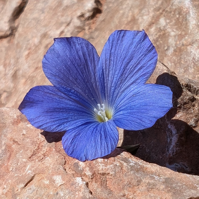 Avatar for 🌈☔🌦️🍄🌱🍉