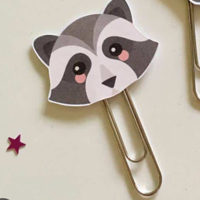 Avatar for Raccoon🇺🇸🏳️‍🌈