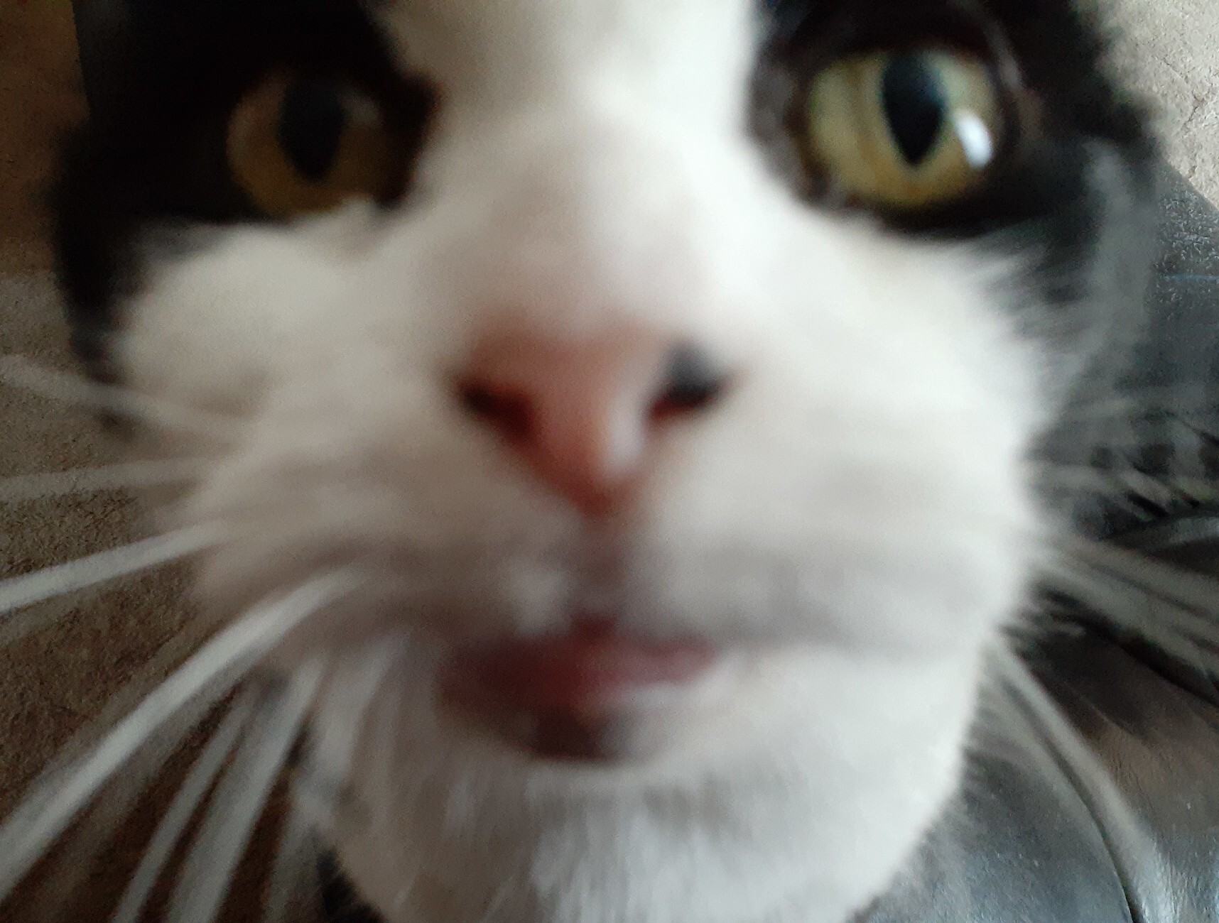 Avatar for MyNameIsRichard@lemmy.ml