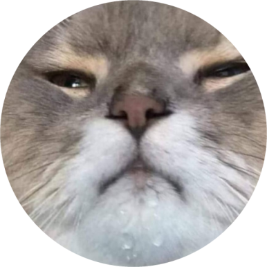 Avatar for 58008@lemmy.world