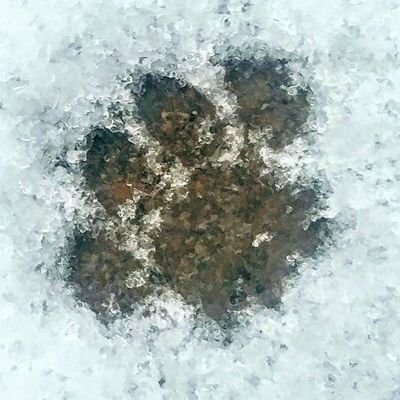 Avatar for Mathou