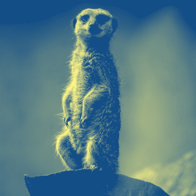 Avatar for Louis Derrac