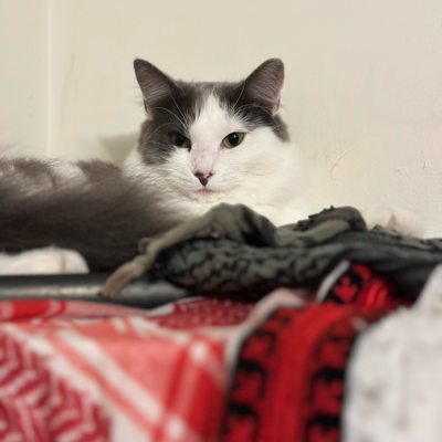 Avatar for Alissa Azar