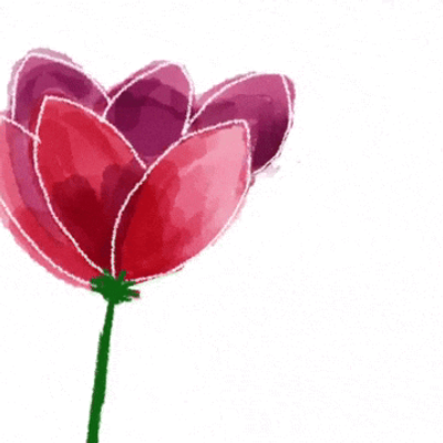 Avatar for Edelruth, PBS Passport Holder