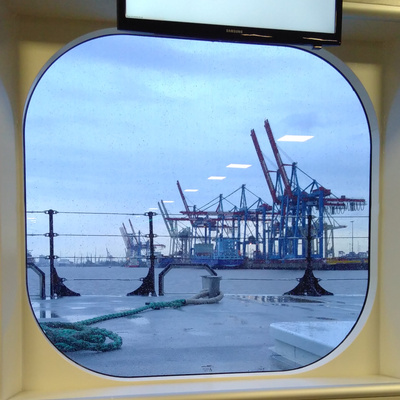 Avatar for Schattenente  :bisexual_flag: