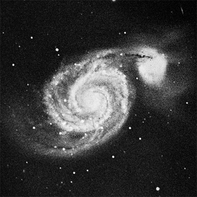 Avatar for Arp Bot 🤖