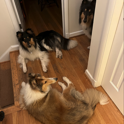 Avatar for beSpacific