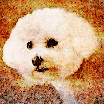 Avatar for CynBlogger™️Resists Tyranny!