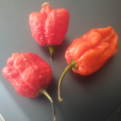 Avatar for millerebonds